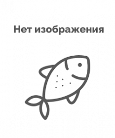 ntcn
